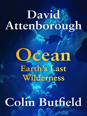 Ocean - ebook